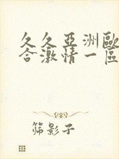 久久亚洲欧美综合激情一区