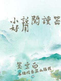 小说阅读器那个好用