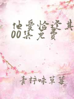 他爱恰逢其时100集免费