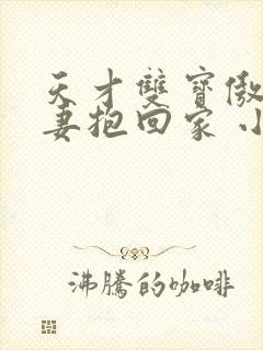 天才双宝傲娇前妻抱回家 小说