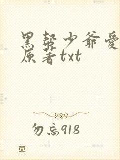 黑帮少爷爱上我原著txt