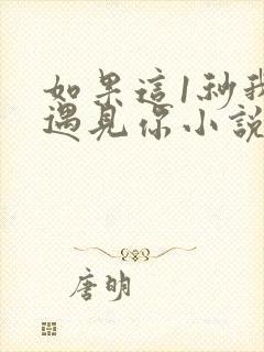 如果这1秒我没遇见你小说阅读 如果这1秒我没遇见你小说阅读