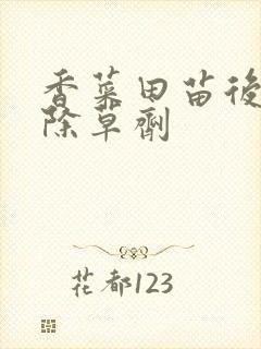 香菜田苗后阔叶除草剂