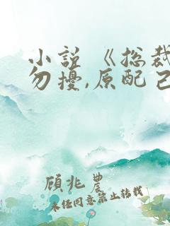 小说 《总裁请勿扰,原配己重生》