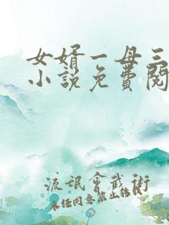 女婿一母三女的小说免费阅读
