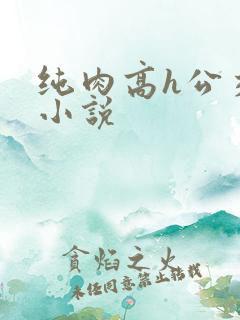 纯肉高h公交车小说