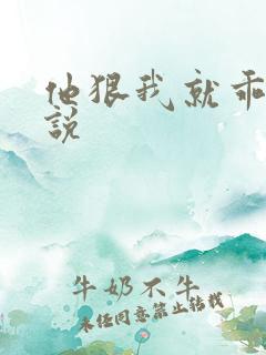 他狠我就乖了小说