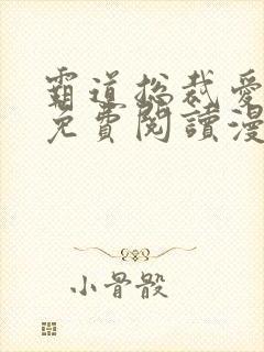 霸道总裁爱上我免费阅读漫画