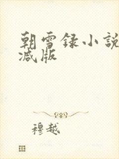 朝雪录小说无删减版