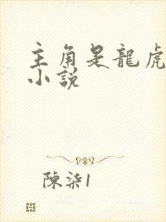 主角是龙虎气的小说