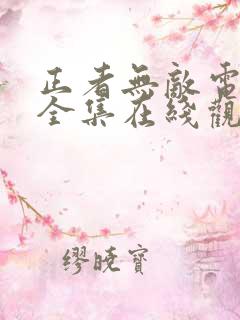 正者无敌电视剧全集在线观看免费介绍