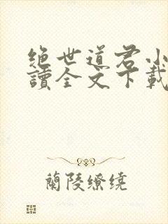 绝世道君小说阅读全文下载