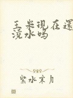 玉米现在还需要浇水吗