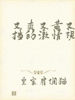 又爽又黄又无遮挡的激情视频