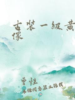 古装一级黄色录像