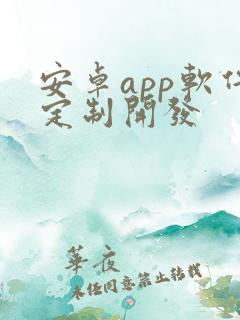 安卓app软件定制开发