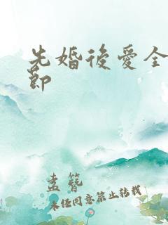 先婚后爱全部章节