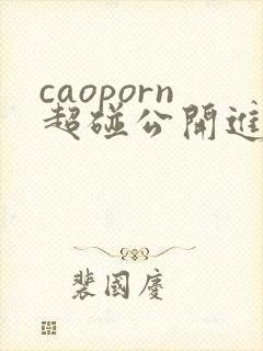 caoporn超碰公开进入