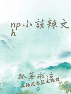 np小说辣文高h
