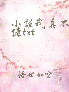小说我真不是大佬txt
