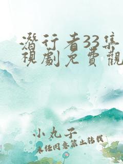 潜行者33集电视剧免费观看