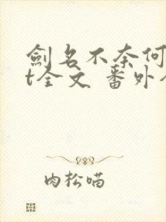 剑名不奈何txt全文 番外全