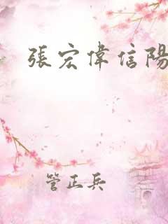张宏伟信阳调研