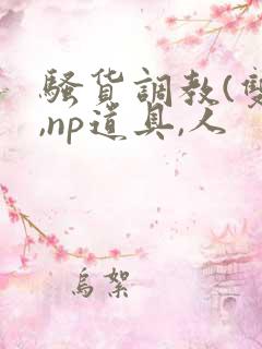 骚货调教(双性,np道具,人
