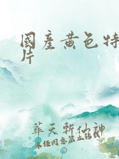 国产黄色特一级片