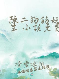陈二狗的妖孽人生 小说免费阅读