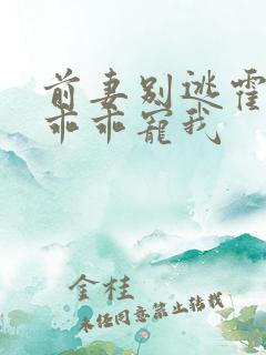 前妻别逃霍先生乖乖宠我