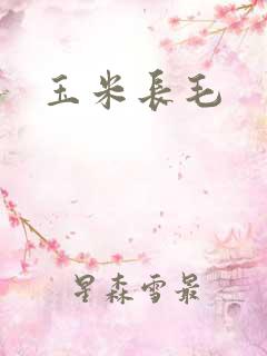 玉米长毛