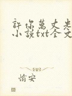 许你万丈光芒好小说txt全文免费下载