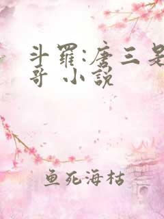 斗罗:唐三是我哥 小说 斗罗:唐三是我哥 小说