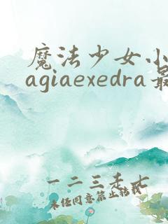 魔法少女小圆magiaexedra最新