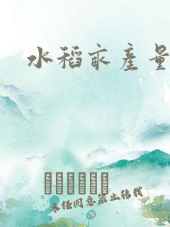 水稻亩产量多少