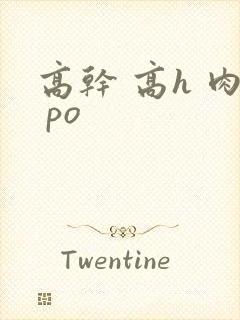 高干 高h 肉 po