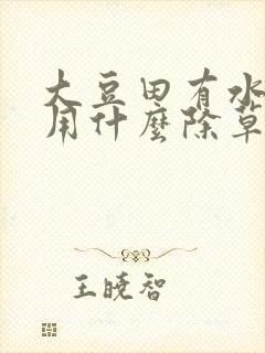 大豆田有水花生用什么除草剂