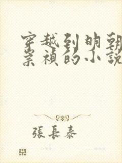 穿越到明朝成为崇祯的小说