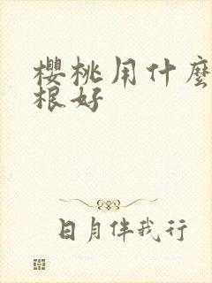 樱桃用什么肥生根好