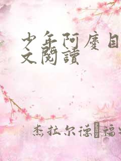 少年阿庆目录全文阅读