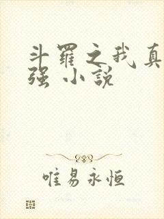 斗罗之我真的不强 小说