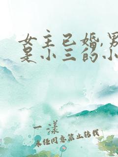 女主已婚,男主是小三的小说