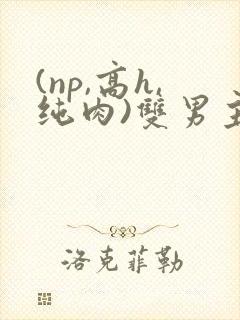 (np,高h,纯肉)双男主