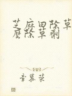 芝麻田除草用什么除草剂