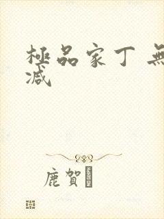 极品家丁 无删减