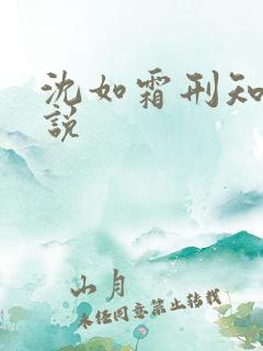 沈如霜刑知衍小说