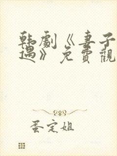 韩剧《妻子的外遇》免费观看