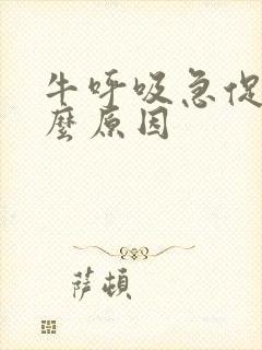 牛呼吸急促是什么原因