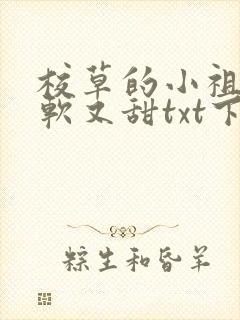 校草的小祖宗又软又甜txt下载